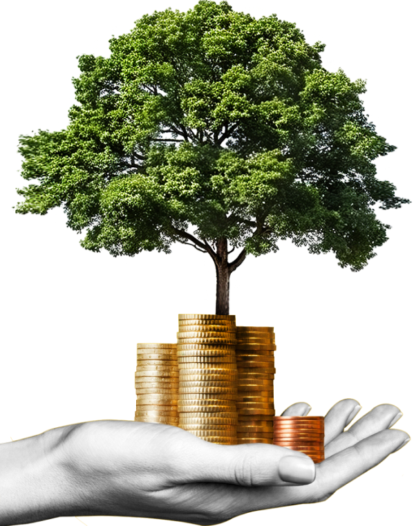 https://sielecki.org/wp-content/uploads/2024/09/image_group_02.png
