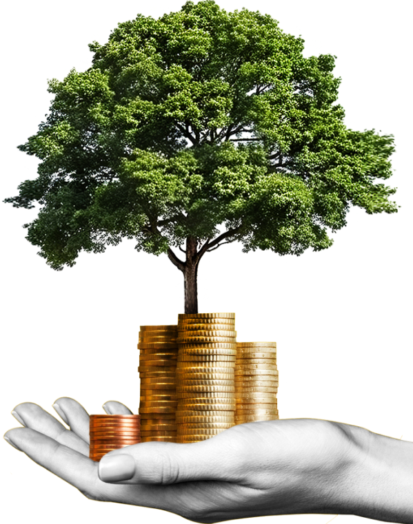 https://sielecki.org/wp-content/uploads/2024/10/inner_image_home_05_01.png